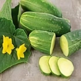 Cucumber