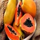 Papaya